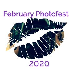 February Photofest 2020 A Reflection